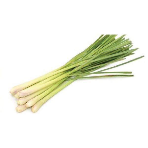 fresh herbs online