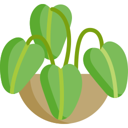 Best Herb Manufacturer In Pune