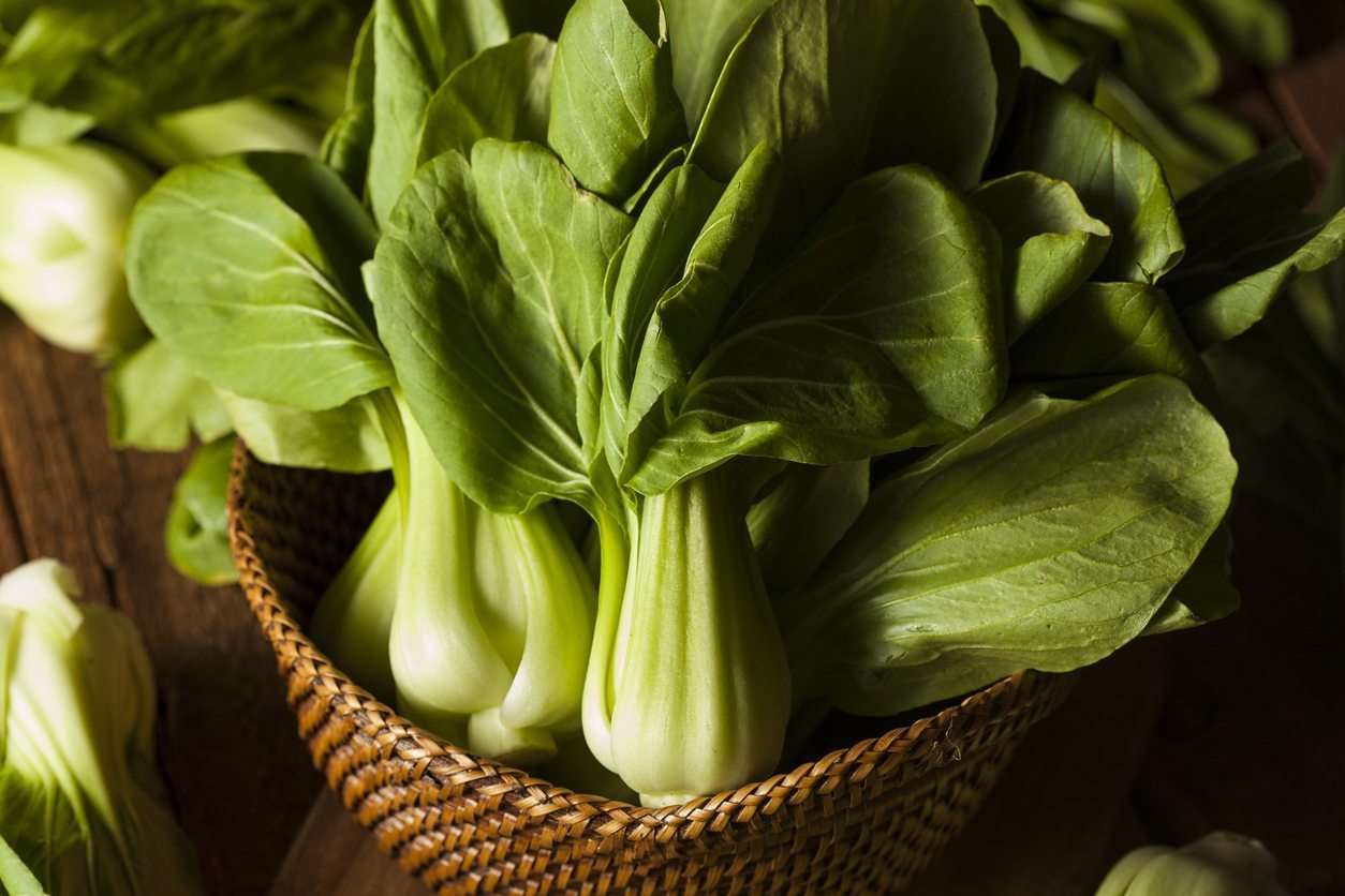 fresh herbs manufacturer in India