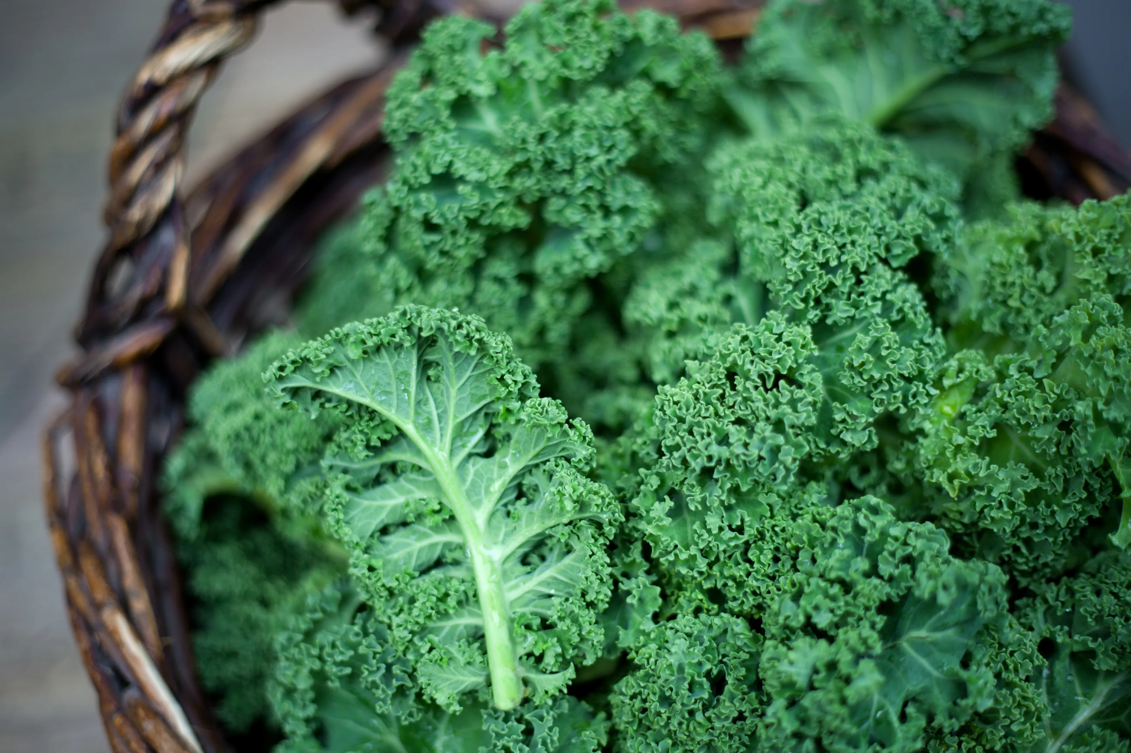 Quality Exotic Vegetables in Pune